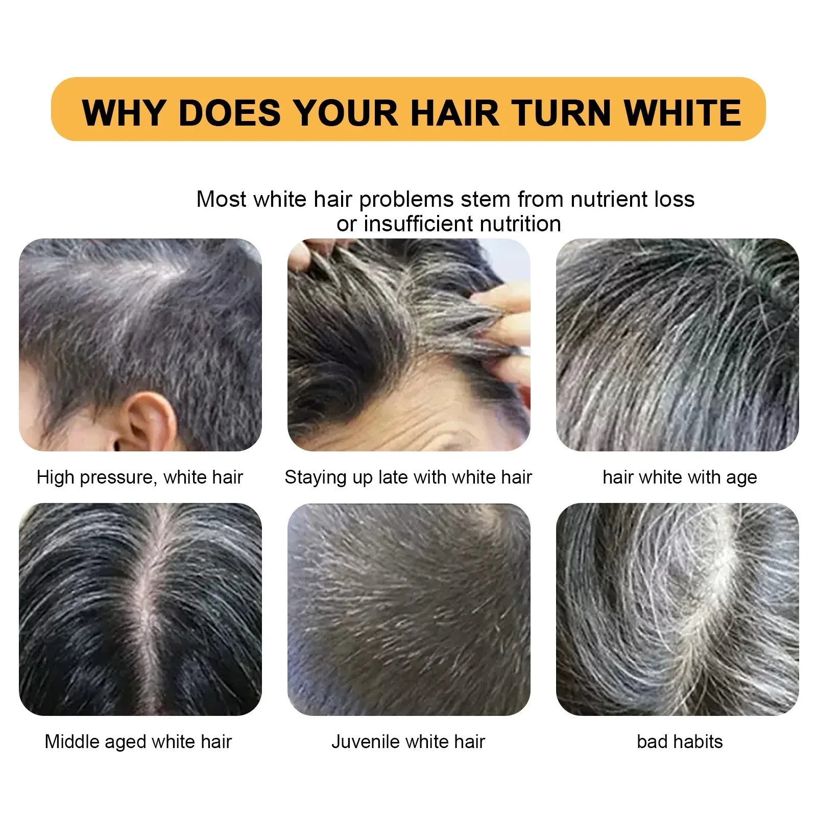 Polygonum Multiflorum Shampoo Bar infographic explaining why hair turns gray and white with age.