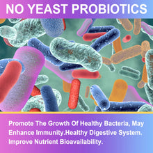 Bcuelov Premium Probiotics with Prebiotics & Digestive Enzymes capsules bottle for supporting gut health, digestion, and everyday digestive care.