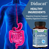 Candida Complex with Probiotics & Enzymes supplement bottle for probiotic support, enzyme digestion, and internal balance.