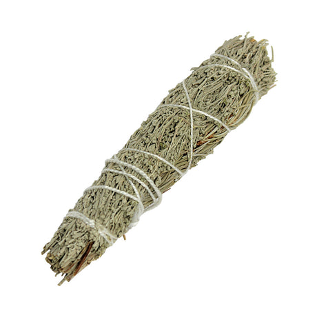 Prosperity Smudge Stick with pine and mountain sage for abundance rituals and space clearing.
