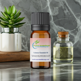Pure Calamus essential oil bottle for essential oil blending, diffuser use, and aromatic practice.