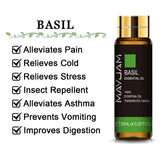 10ML Pure Essential Oil eucalyptus glass bottle for diffuser sessions, freshening spaces, and daily aromatherapy.