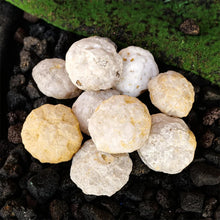 Raw Agate Geode Crystal Cluster Specimen for meditation, home décor, and crystal collecting.