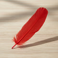Red Feather 12 inch decorative feather for costume design, craft projects, and event decoration.