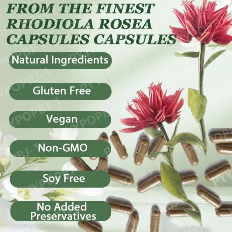 Rhodiola Rosea capsules bottle herbaceous plant extract supplement for daily wellness, stress support, and energy balance.