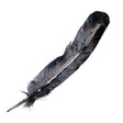Smokey Gray Feather 10-12 inch craft feather for costume design, floral arrangements, and decorative DIY projects.