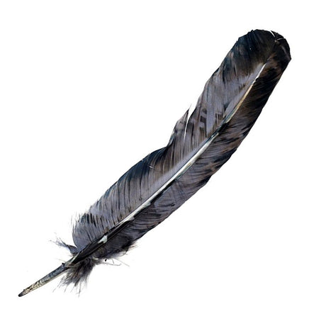 Smokey Gray Feather 10-12 inch craft feather for costume design, floral arrangements, and decorative DIY projects.