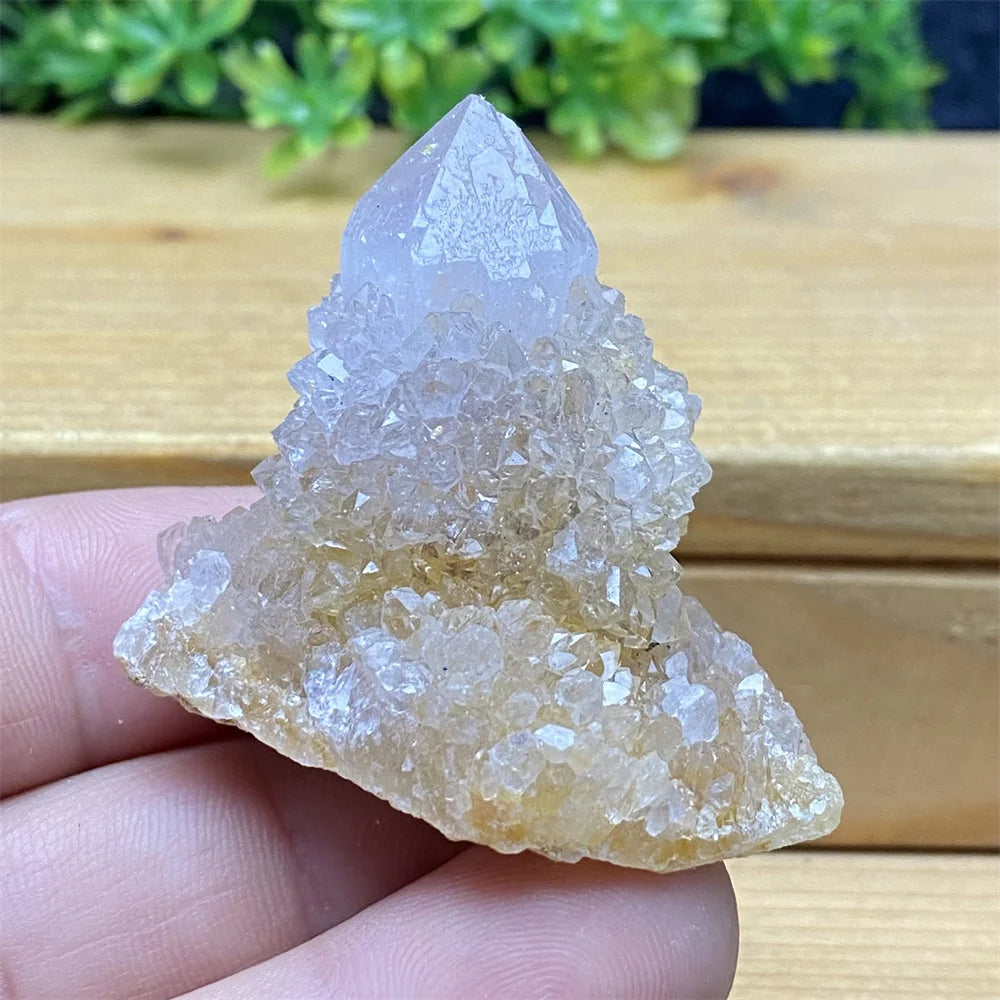 South African Purple Cactus Crystal Cluster for meditation, home décor, and crystal collecting.