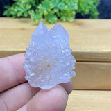 South African Purple Cactus Crystal Cluster for meditation, home décor, and crystal collecting.