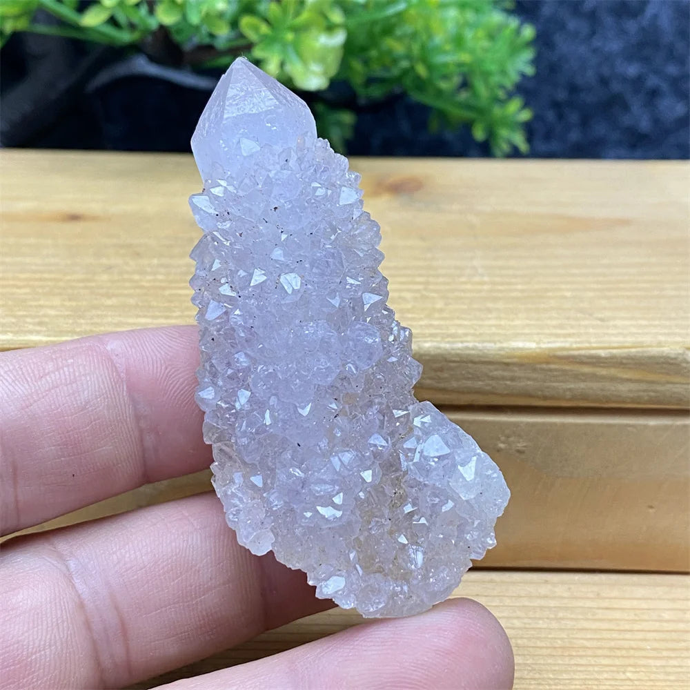 South African Purple Cactus Crystal Cluster for meditation, home décor, and crystal collecting.