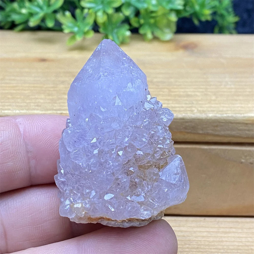 South African Purple Cactus Crystal Cluster for meditation, home décor, and crystal collecting.