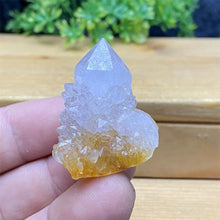 South African Purple Cactus Crystal Cluster for meditation, home décor, and crystal collecting.