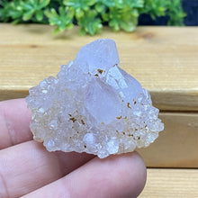 South African Purple Cactus Crystal Cluster for meditation, home décor, and crystal collecting.