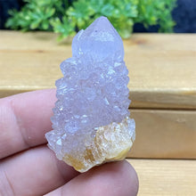 South African Purple Cactus Crystal Cluster for meditation, home décor, and crystal collecting.