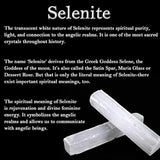Beginner’s Mini Smudge Kit starter set for energy cleansing, intention setting, and ceremonial use.