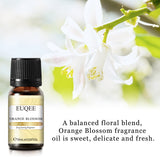 EUQEE sweet fruity home aroma oil bottle for scent diffusion, room fragrance, and daily aromatic use.