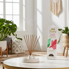 Triloka Tropical incense sticks assorted scent pack for meditation, room freshening, and calming aromatic use.