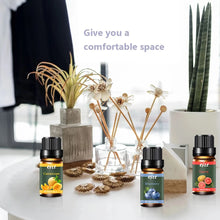 Tropical Escape fragrance oil bottles for adding fruity scent to a room diffuser.
