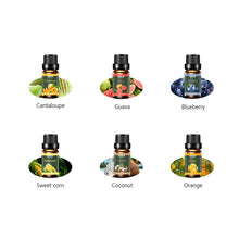 Tropical Escape 10ml fruit fragrance oil bottles seated in the box tray.