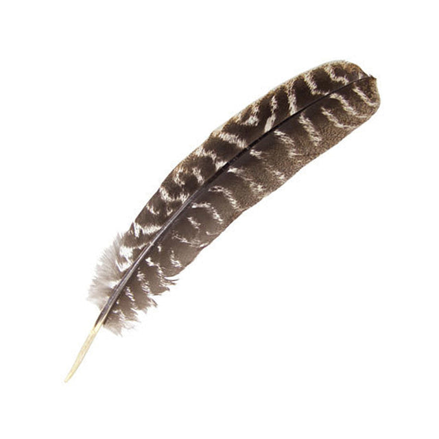 Turkey barred feather natural feather craft supply for costume making, jewelry design, and decorative DIY projects.