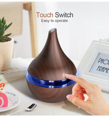USB powered cool mist humidifier aroma diffuser for quiet moisture support and essential oil use at home or work.