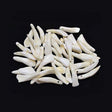 Water buffalo teeth natural animal bone pieces for crafting, jewelry making, and decorative use.