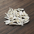 Water buffalo teeth natural animal bone pieces for crafting, jewelry making, and decorative use.