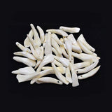 Water buffalo teeth natural animal bone pieces for crafting, jewelry making, and decorative use.