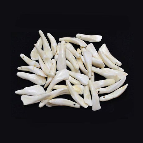 Water buffalo teeth natural animal bone pieces for crafting, jewelry making, and decorative use.