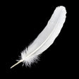 White feather decoration for craft projects, costume design, and decorative use.