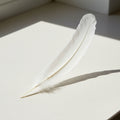 White feather decoration for craft projects, costume design, and decorative use.