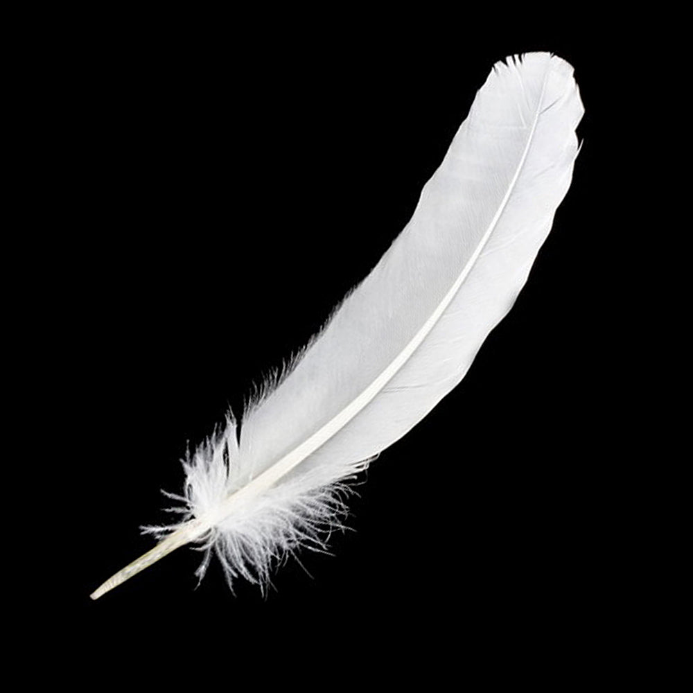 White feather decoration for craft projects, costume design, and decorative use.