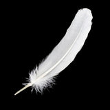 White feather decoration for craft projects, costume design, and decorative use.