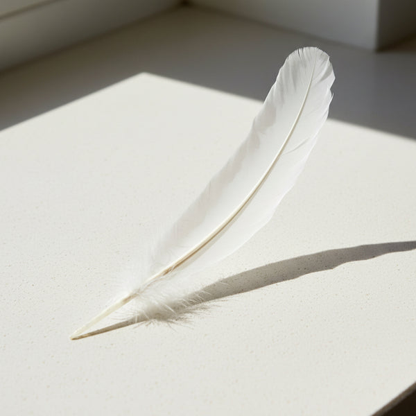 White feather decoration for craft projects, costume design, and decorative use.