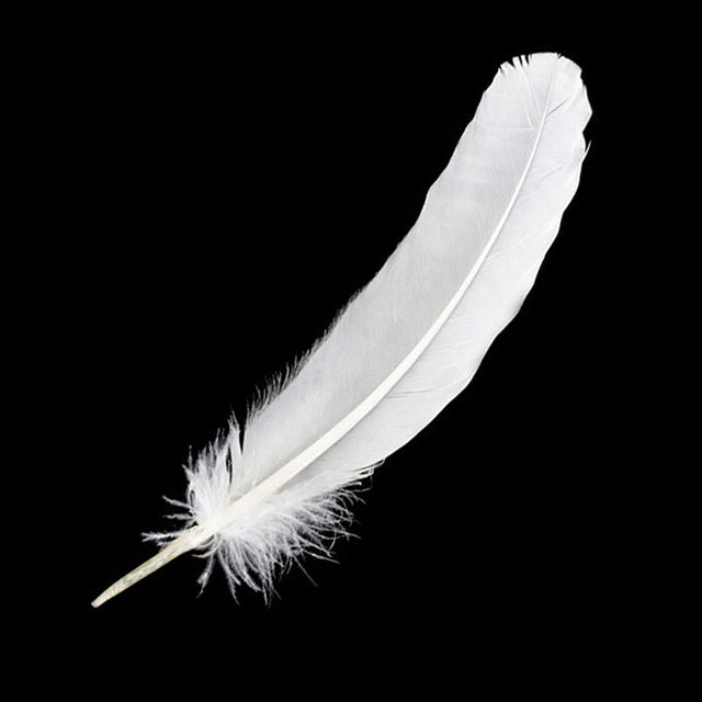 White feather decoration for craft projects, costume design, and decorative use.