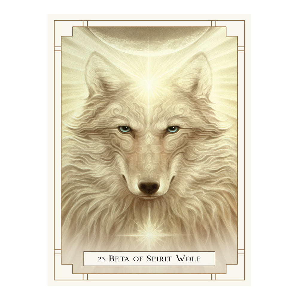 White Light Oracle deck sample card, set E