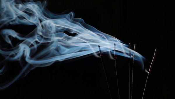 Witches White Sage Incense Sticks - fresh herbal woody aroma