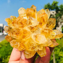 Yellow Phantom Quartz Crystal Cluster for meditation, home décor, and crystal collecting.