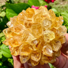 Yellow Phantom Quartz Crystal Cluster for meditation, home décor, and crystal collecting.