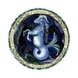 Zodiac Capricorn sticker, 3 inch decal for laptops, journals, and water bottles