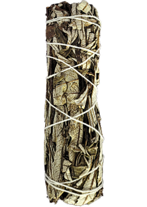 Yerba Santa Sage Smudge Sticks 5-6 inches