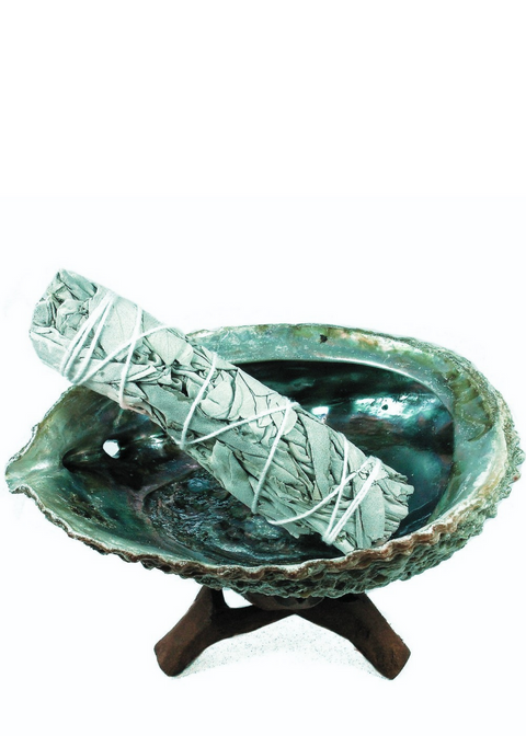 Abalone Shell with Tripod Stand and Sage