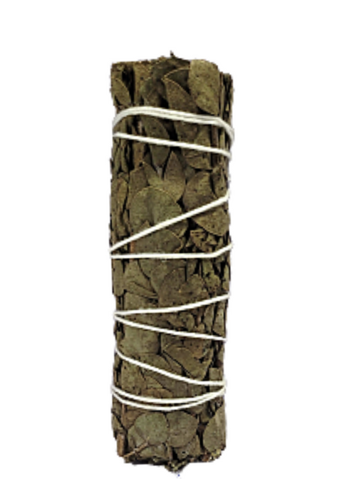 Eucalyptus Smudge Sage Sticks Bundle 3-4 Inches