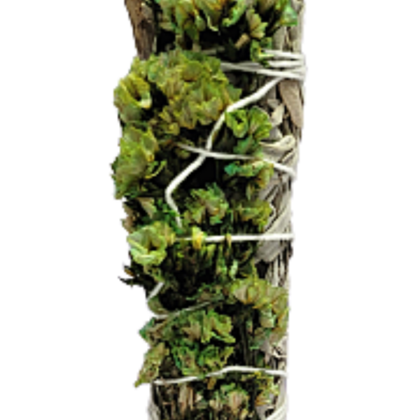 Green Sinuata with  White Sage Smudge Sticks 3-4 Inches