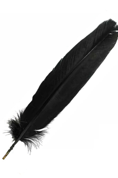 Black Feather 12″