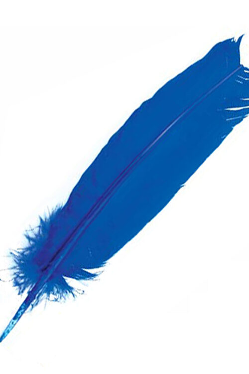 Blue Feather 12″