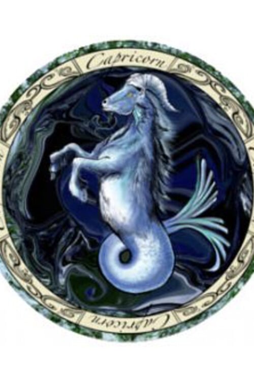 Zodiac Capricorn Sticker 3″