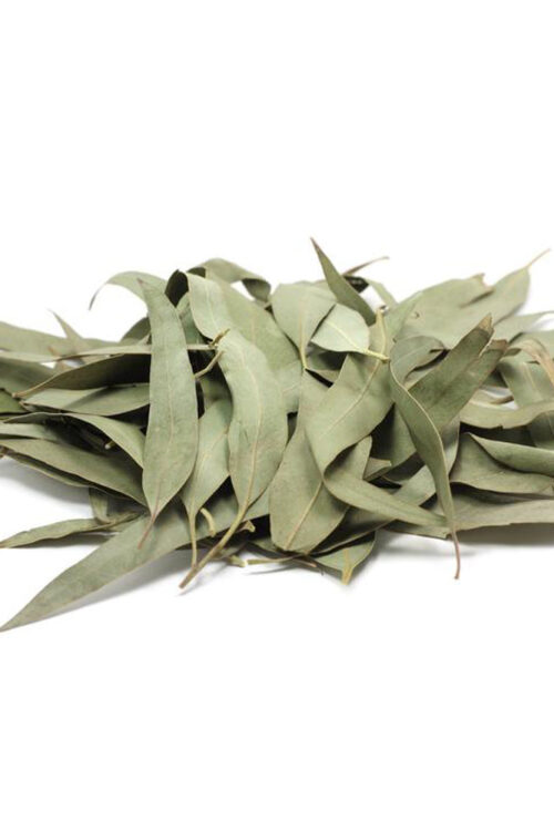 Eucalyptus Leaves Whole Herbs 1oz