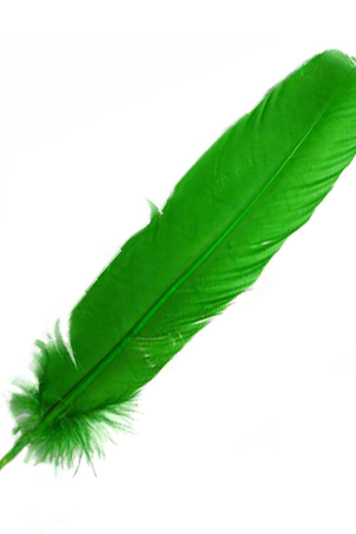 Green Feather 12″