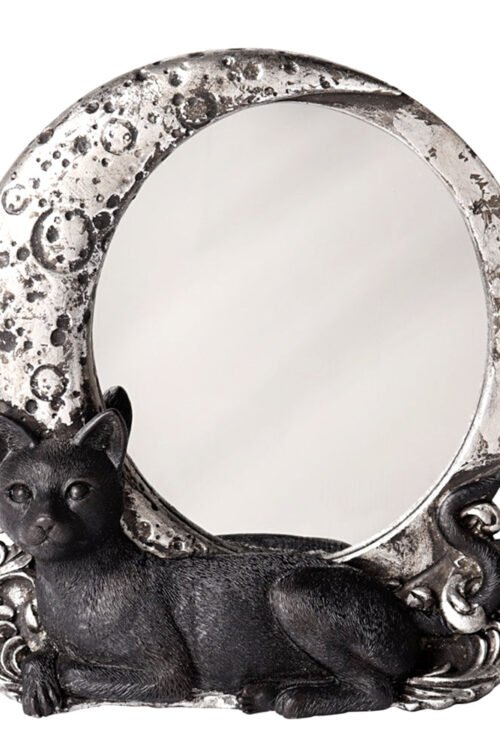 Night Cat Mirror